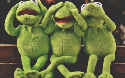 Mitos de la psicología: “Los psicólogos sólo hablan”